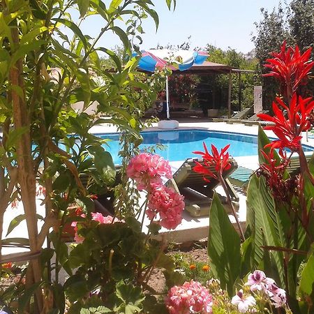 Paradise Garden Gumusluk Evleri Aparthotel Luaran gambar