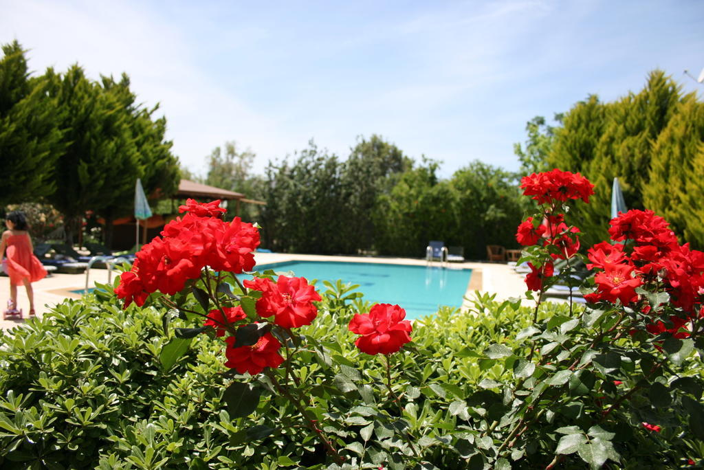Paradise Garden Gumusluk Evleri Aparthotel Luaran gambar