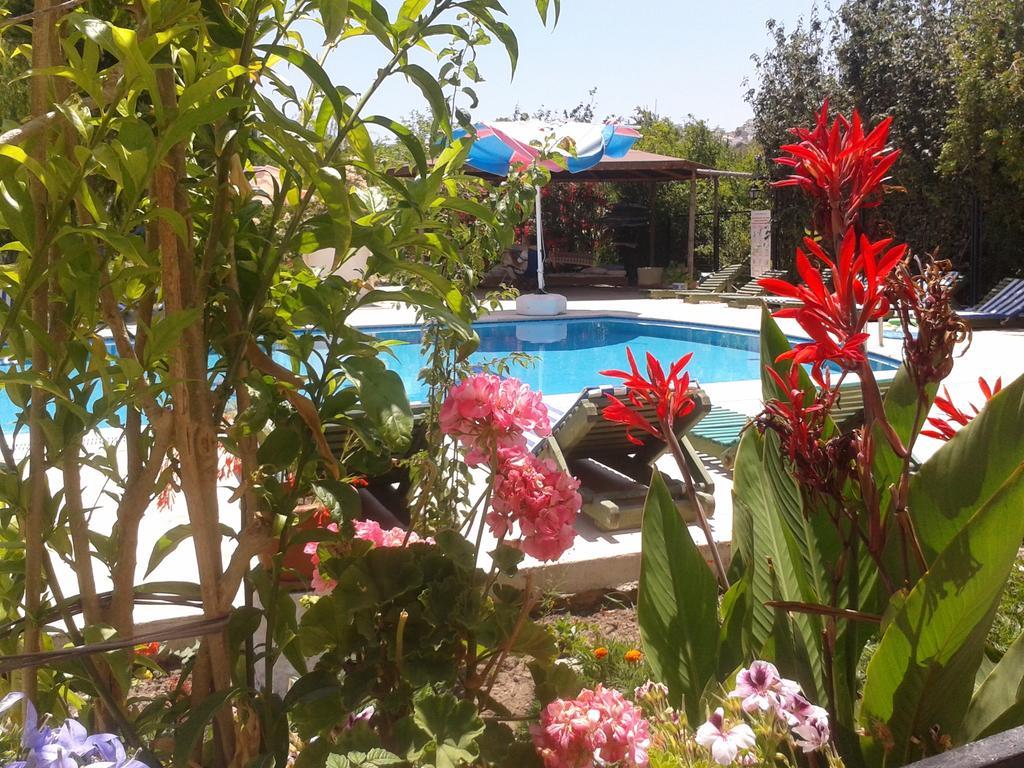 Paradise Garden Gumusluk Evleri Aparthotel Luaran gambar
