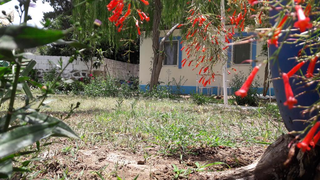 Paradise Garden Gumusluk Evleri Aparthotel Luaran gambar