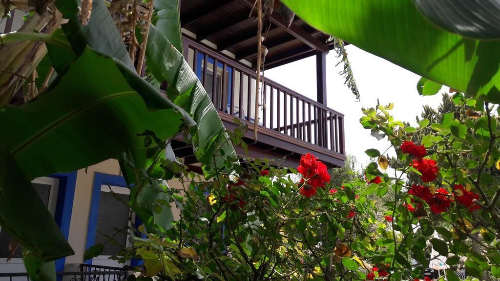 Paradise Garden Gumusluk Evleri Aparthotel Luaran gambar